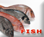 seatradegroup products,fish,Polagics: Mackerel - Horse Mackerel - Herrings - Sardines - Tilapia - Silver Hake - Silver Smelt - Grey Mullet