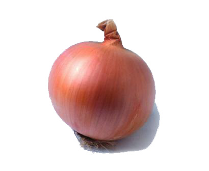 seatradegroup - spanish onions