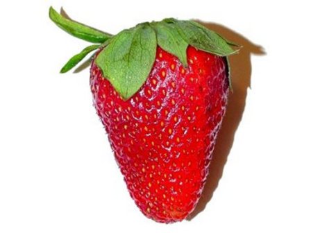 seatradegroup-strawberry