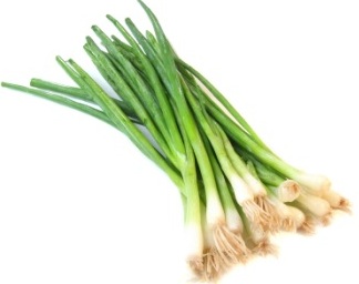 seatradegroup - spring onions